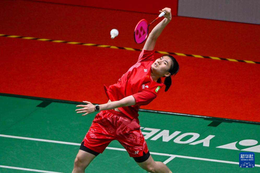 定的收益 定的收益